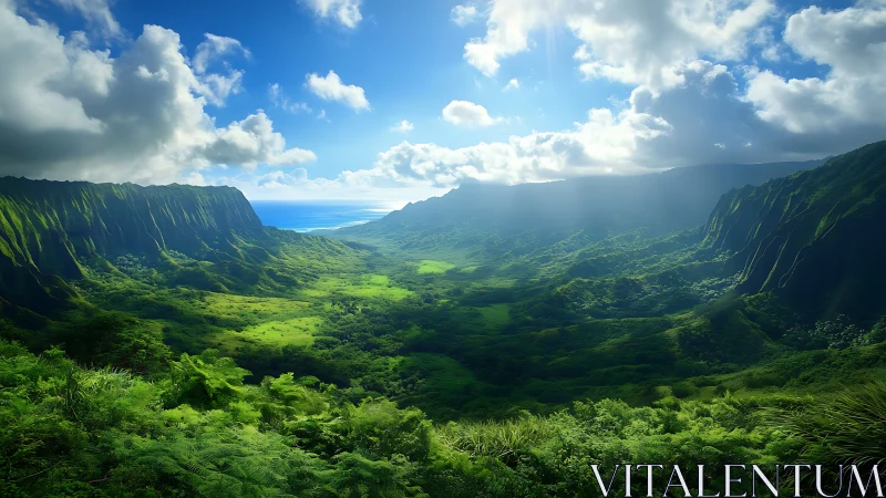 Coastal mountain valley with dense green vegetation under sun.