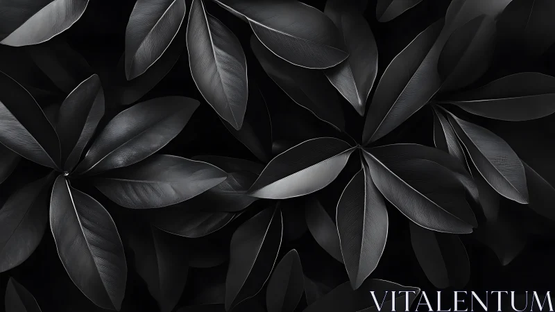 Monochrome rubber leaves form dense overlapping abstract canopy