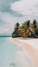 Tropical beach with palm trees and turquoise water waves