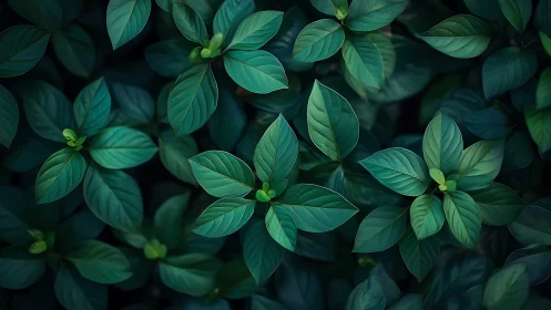 Top-down photorealistic foliage array with radial leaf symmetry.