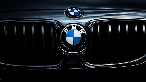 Midnight close-up of a sleek luxury car grille emblem.
