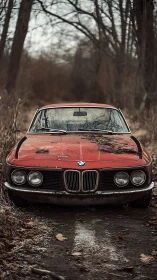 Weathered red BMW coupe abandoned on narrow forest track.
