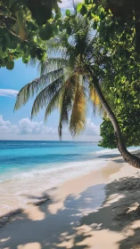Tropical Beach Paradise With Palm Tree Framing Ocean Horizon