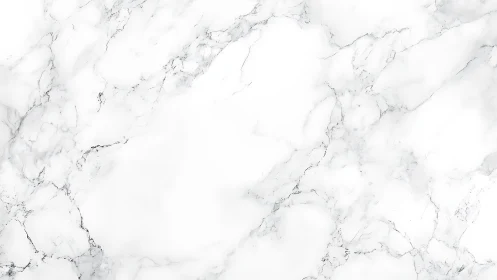 White marble surface exhibits light grey veining pattern