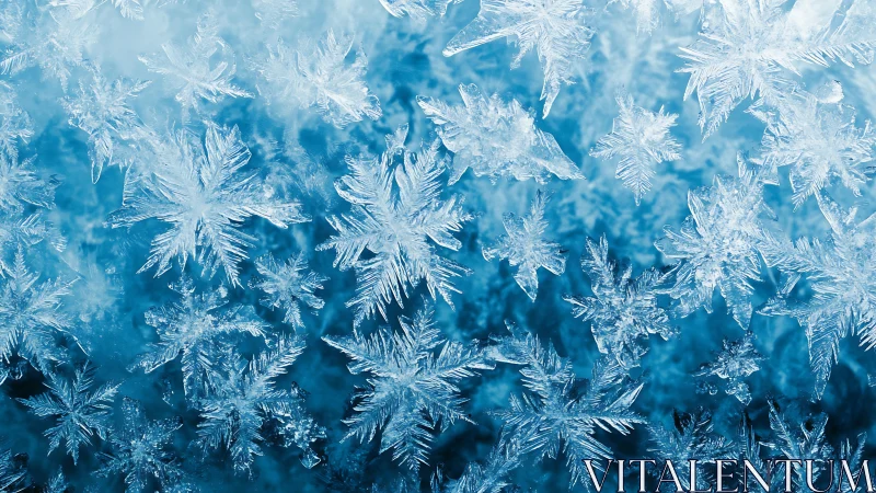 Detailed macro closeup of intricate blue ice snowflakes.