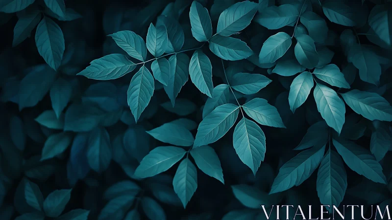 Cyan-toned compound foliage in low-key optical focus field.