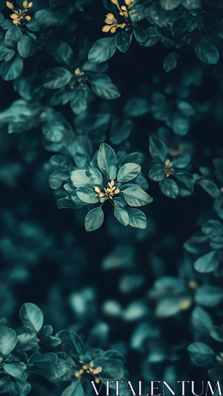 Moody teal foliage with soft yellow buds in focus.