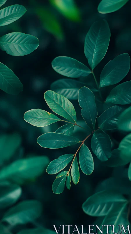Emerald foliage study with soft bokeh forest backdrop.