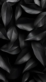 Monochrome foliage pattern with sculpted black leaf forms.
