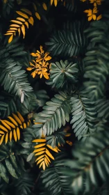 Emerald foliage frames vivid yellow tropical leaf clusters