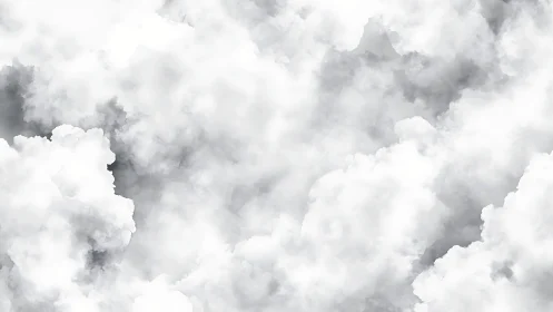 Volumetric cumulus cloud field rendered in soft grayscale tones