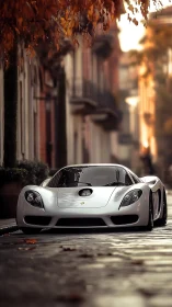Silver sports car is parked on wet cobblestone street