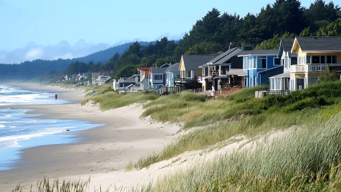 Coastal houses line a sandy beach beside dense green forest