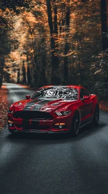 Red sports coupe cuts through autumn forest road with cinematic contrast