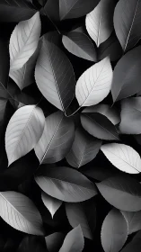 Monochrome leaves form overlapping pattern in soft lighting