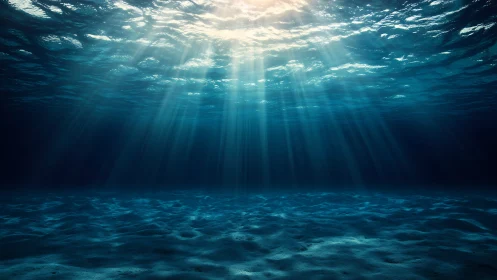 Sunlit underwater seafloor with deep blue rays of light.