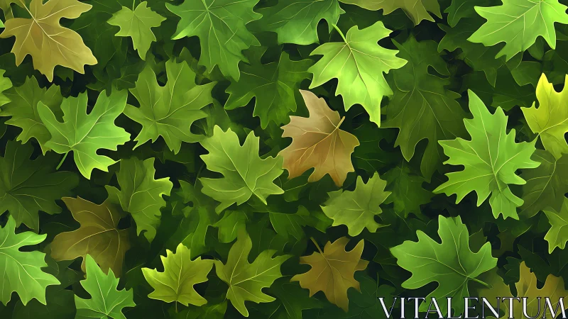 Gentle maple leaves drift together in a calm green sea