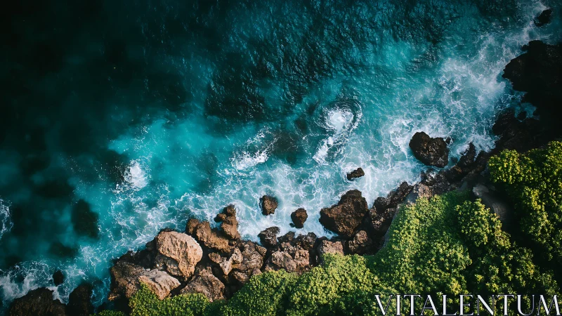 Azure surf collides with rugged cliff and neon green fringe.