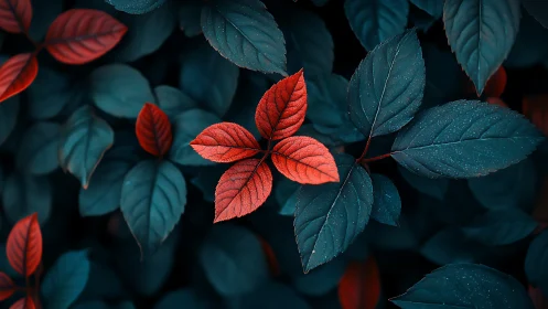 Scarlet leaf cluster glows against cool teal foliage