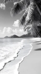 Tropical Shoreline with Fronde Overhang and Distant Mountainous Islands.