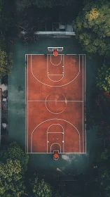 Quiet city basketball court framed by deep green trees.