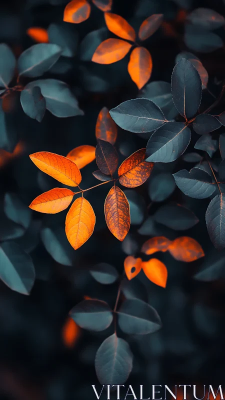 Orange leaves glow against deep teal foliage in soft blur.