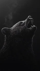 Powerful roaring bear emerging from the deep shadows.