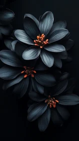 Dark Petals, Glowing Hearts: Nature's Dramatic Beauty.