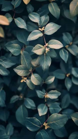 Midnight leaf chorus in teal and gold hush.