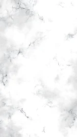 High-key white marble texture with fine gray veining distribution