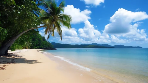 Tropical Lagoon Beach with Palm Trees and Mountain Vista