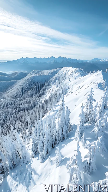 Snow laden ridge and distant peaks under clear winter sky.