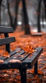 Autumn leaf on wet park bench in shallow focus scene.