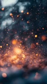 Winter bokeh sparks over snow in twilight forest glow.