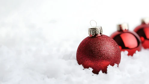 Crimson baubles quietly rehearse winter’s holiday sparkle