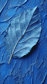 Monochrome leaf quietly sketches rivers across cobalt tides