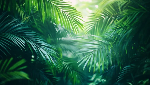 Lush green palm leaves form dense tropical jungle canopy