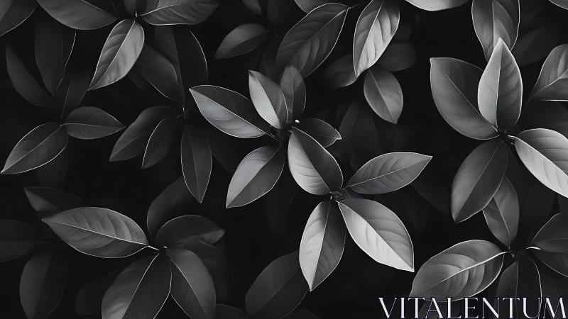 Monochrome foliage pattern with glossy overlapping leaves.