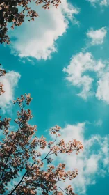 Autumn tree branches cut into vivid teal sky with clouds