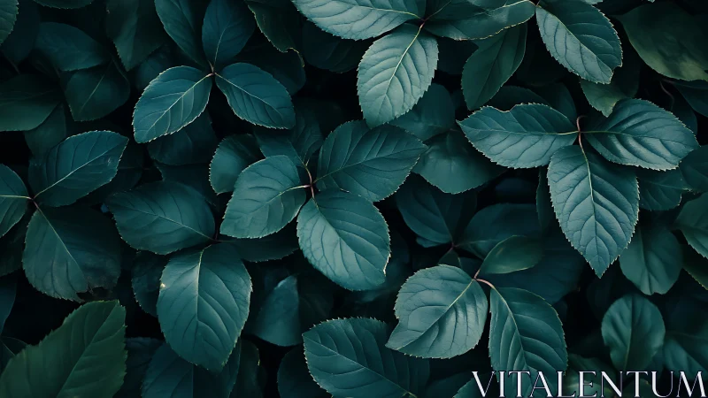 Deep green garden leaves in a calm, comforting embrace.