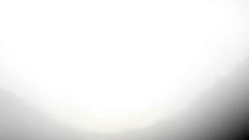 Bright overexposed frame with soft gray edge gradient.