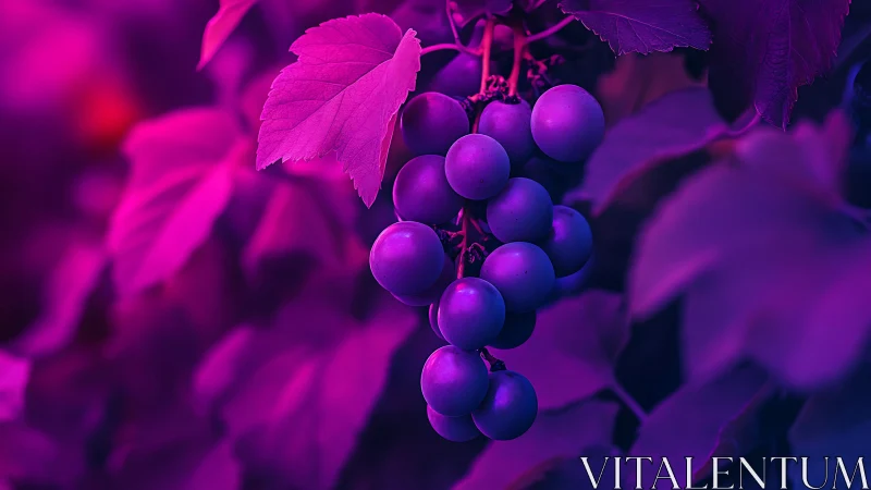 Dreamy neon grapes glowing in a midnight garden.