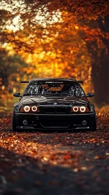 Autumn tunnel crowns a low-slung black BMW with burning halos