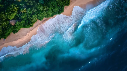 Aerial shoreline study with turquoise surf and dense canopy edge.