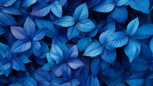 Monochrome blue foliage forms dense, radially layered pattern