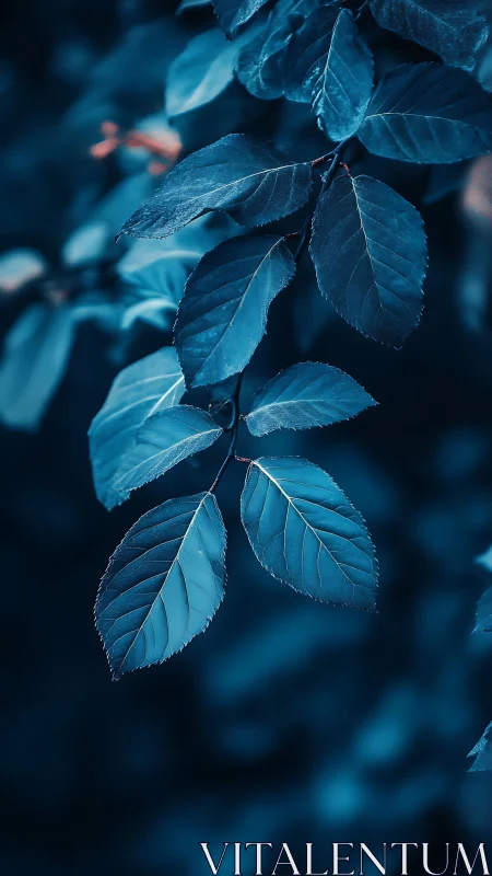 Blue-toned branch presents crisp leaves against soft blur