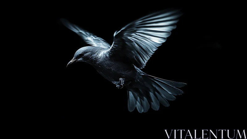 Dramatic close-up of a bird in flight against a black background.