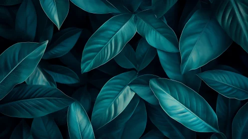 Deep teal jungle leaves glow softly in gentle shadow