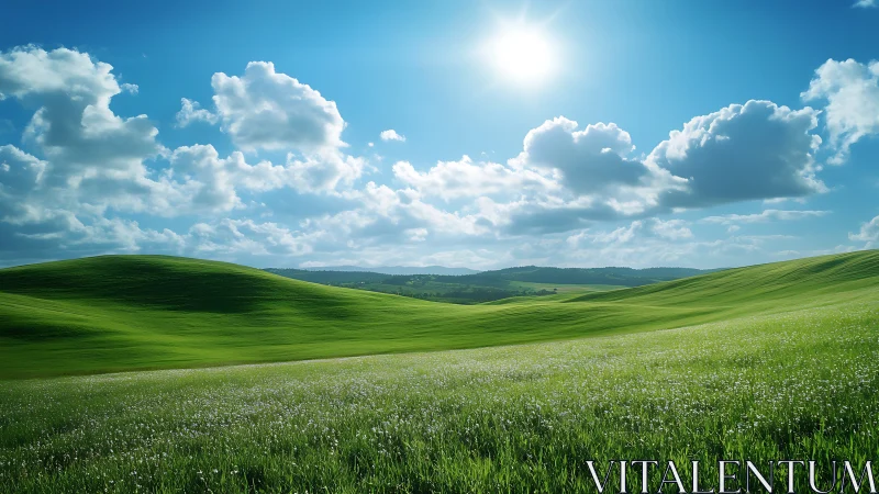 Radiant solar-lit grassland with rolling topographic contours.