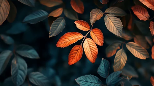 Luminous ember leaves glow against a deep teal forest hush.